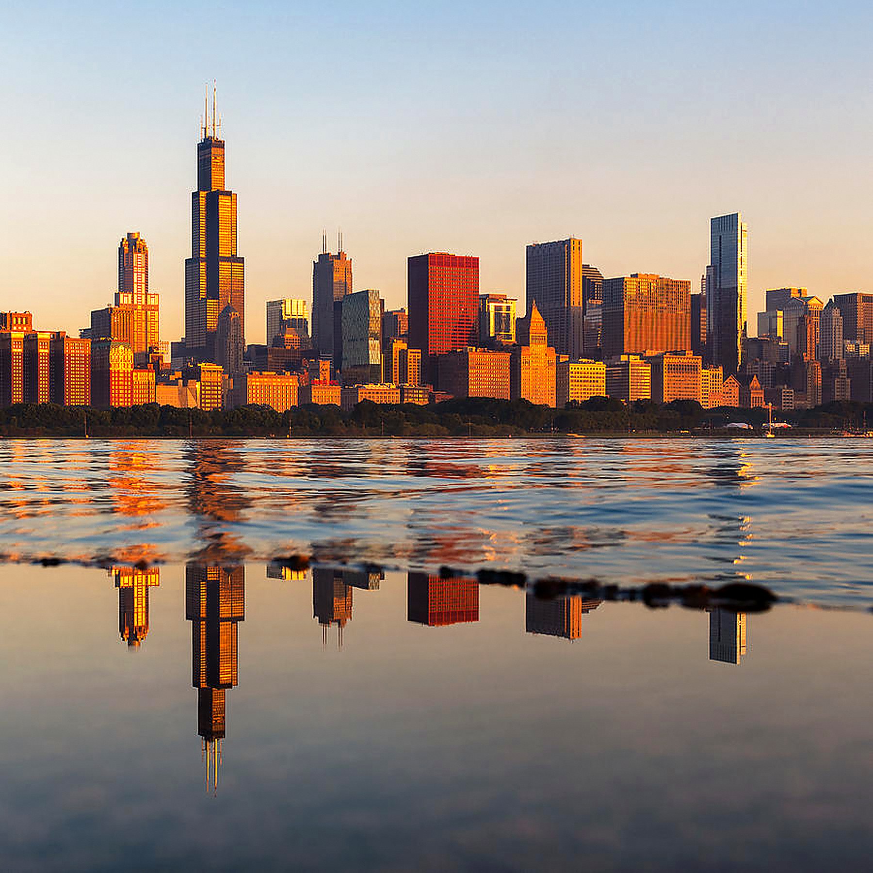 Willis Tower — view 3